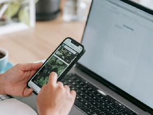 Freelance Services